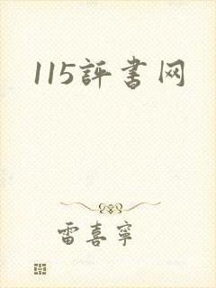 115评书网