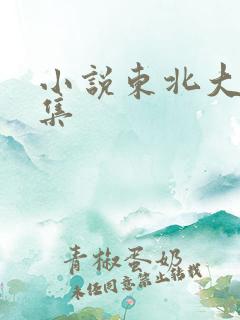 小说东北大炕全集