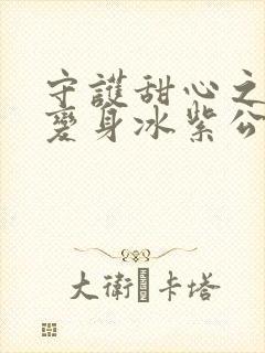 守护甜心之亚梦变身冰紫公主小说