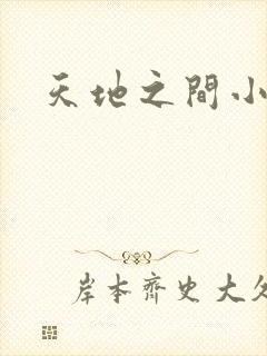 天地之间小说