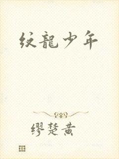 纹龙少年
