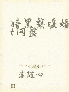 暗黑系暖婚txt网盘