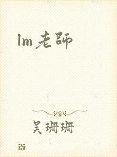 lm老师