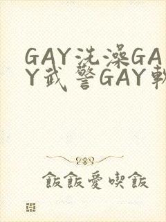 GAY洗澡GAY武警GAY软件