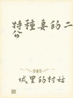 特种妻的二手老公