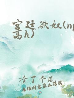 宫廷欲奴(np高h)