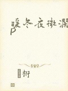 暖冬夜微澜VIP