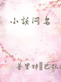 小说网名