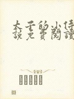 太子的小侍妾小说免费阅读全文