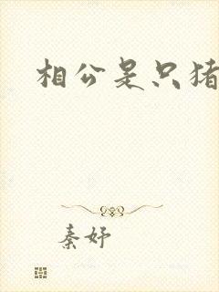 相公是只猪