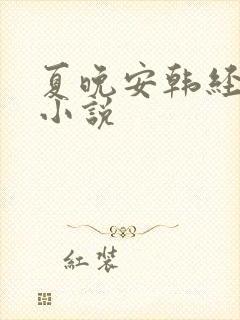 夏晚安韩经年的小说