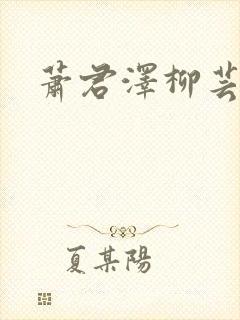 萧君泽柳芸小说