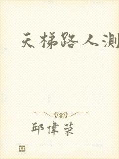 天梯路人测试器