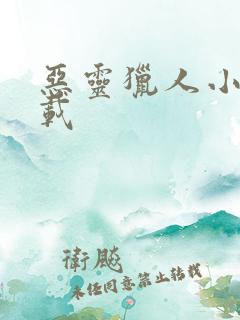 恶灵猎人小说下载