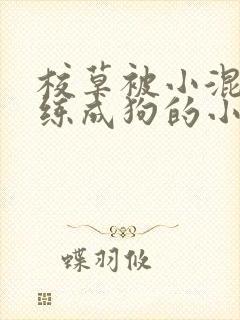 校草被小混混训练成狗的小说