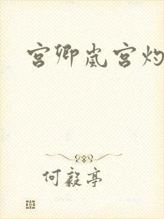 宫卿岚宫灼小说