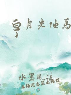 白月光他马甲掉了