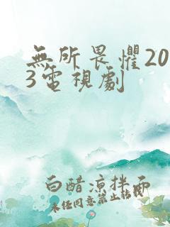 无所畏惧2023电视剧