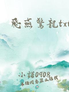 飞燕惊龙txt