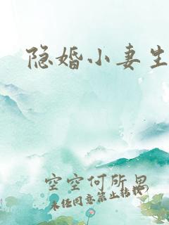 隐婚小妻生个娃