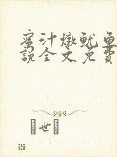 蜜汁炖鱿鱼2小说全文免费阅读