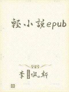 轻小说epub