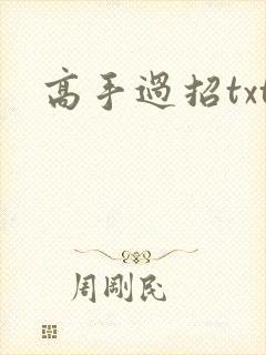 高手过招txt