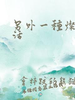 另外一种灿烂生活