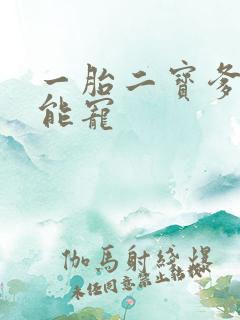 一胎二宝爹地超能宠