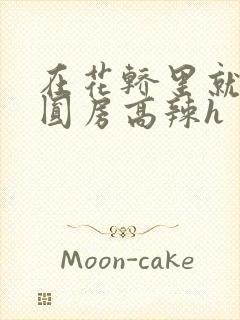 在花轿里就开始圆房高辣h