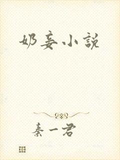 奶妾小说