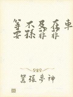 等不及在车里就要孙菲菲