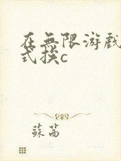 在无限游戏里花式挨c