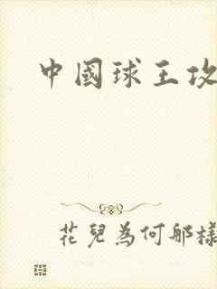 中国球王攻略