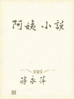 阿姨 小说