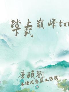 踏上巅峰txt下载