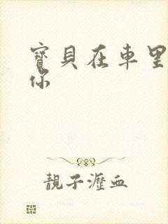 宝贝在车里想要你