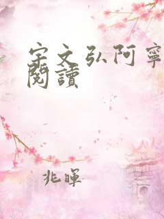 宇文弘阿宁全文阅读