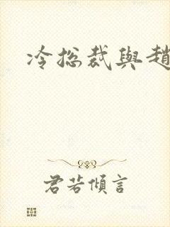 冷总裁与赵大牌