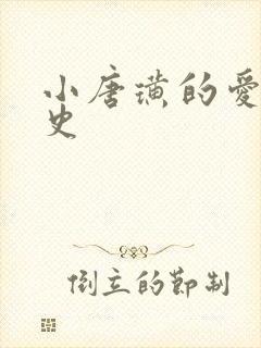 小唐璜的爱情历史