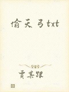 偷天弓txt