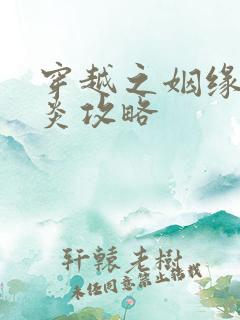 穿越之姻缘劫萧炎攻略