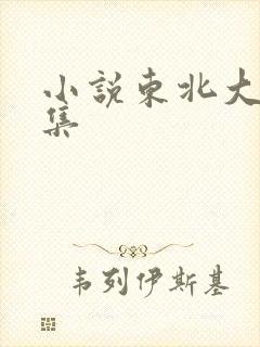 小说东北大炕全集