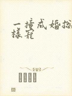 一撞成婚总裁花样宠