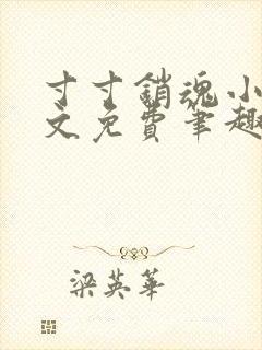 寸寸销魂小说全文免费笔趣阁