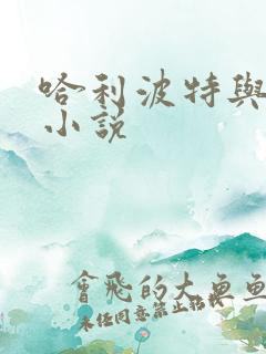 哈利波特与密室小说