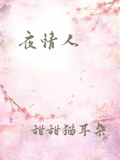 夜情人