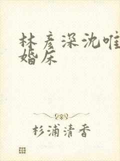 林彦深沈唯赖上婚床