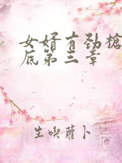 女婿有劲枪枪到底第三章