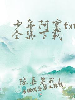少年阿宾txt全集下载